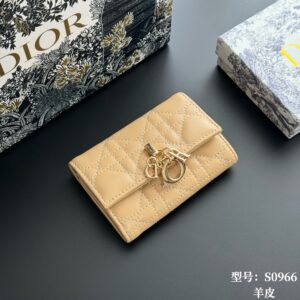 80 Top Quality Yellow Apricot